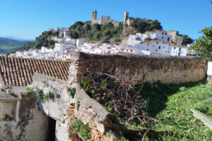 Exciting Reformation Project: Spacious Townhouse in Historic Casares Village In Casares Pueblo