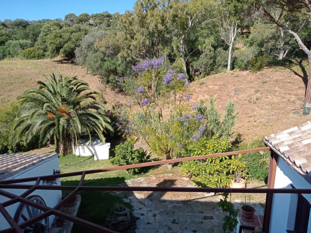 Charming Andalusian Finca in Casares In Casares