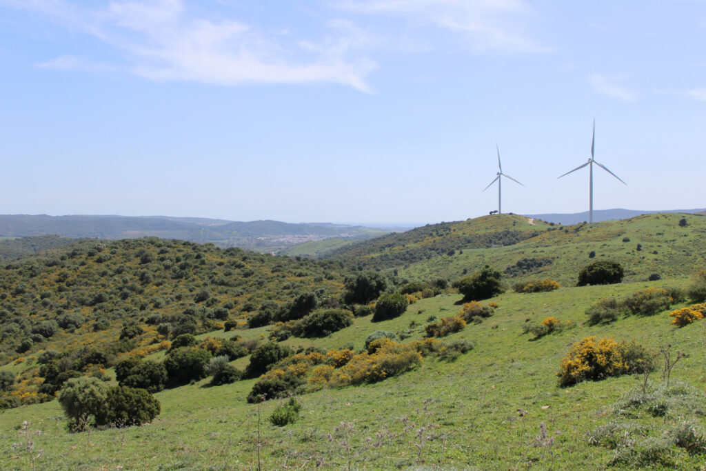 Finca for sale in San Martin del Tesorillo In San Martin del Tesorillo