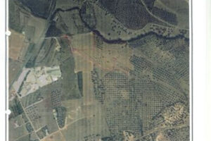 Land Alhaurín el Grande