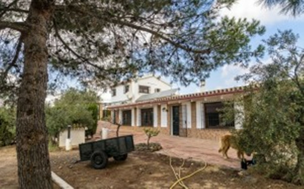 Finca – Cortijo Alora
