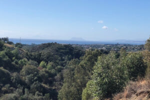 Residential Plot Selwo