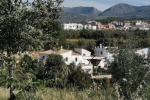 Finca – Cortijo Alcaucín