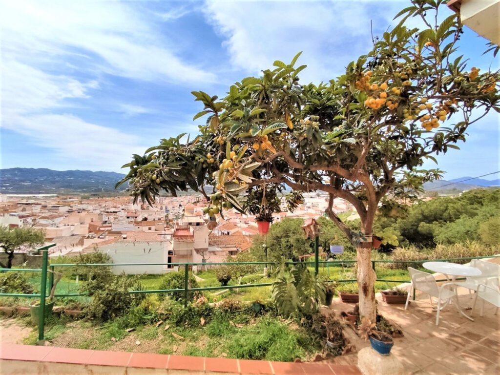 Detached Villa Vélez-Málaga