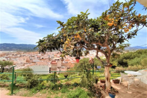 Detached Villa Vélez-Málaga