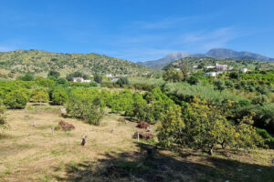 Land with Ruin Tolox