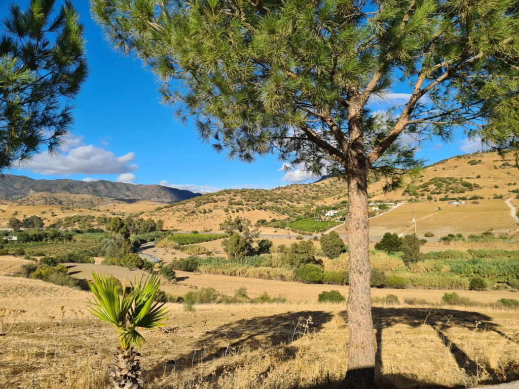 Finca – Cortijo Pizarra