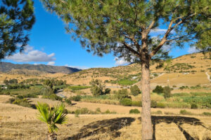 Finca – Cortijo Pizarra