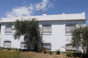 Detached Villa Tolox