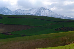 Finca – Cortijo Ardales