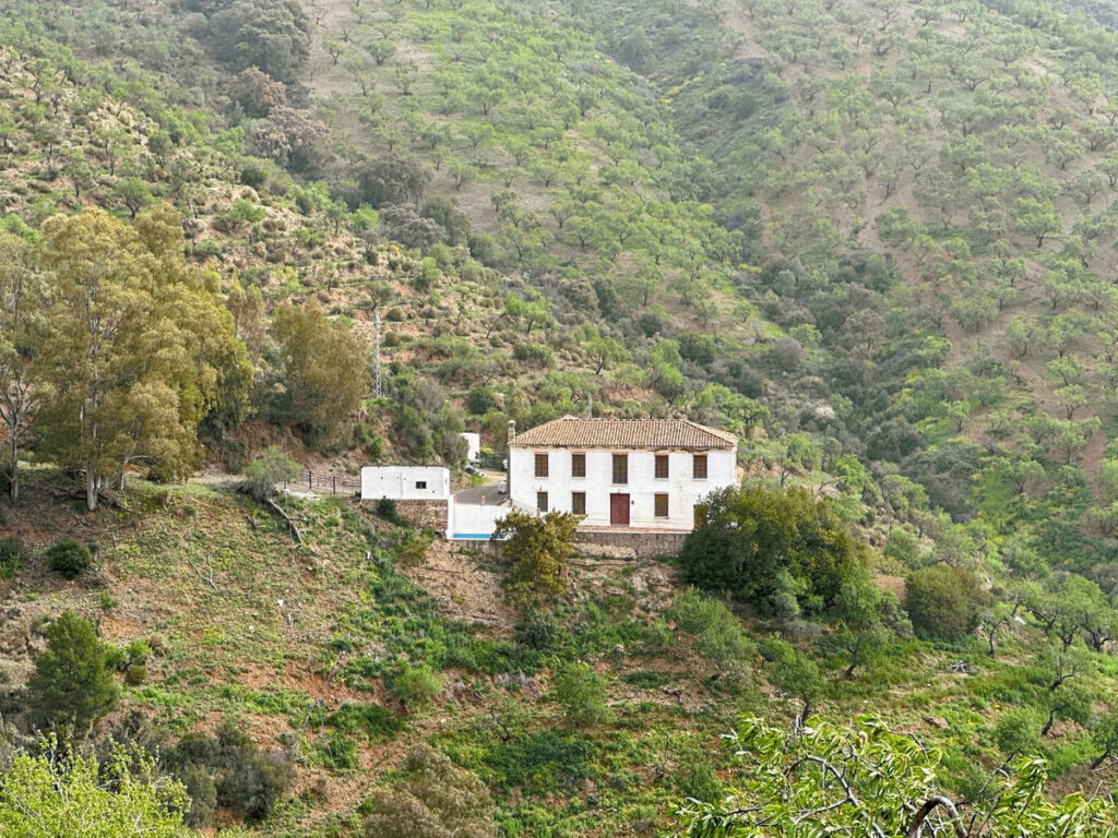 Finca – Cortijo Pinares de San Antón
