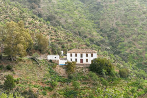 Finca – Cortijo Pinares de San Antón