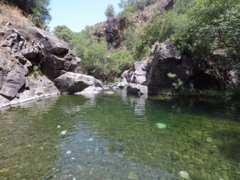 Land with Ruin Estepona