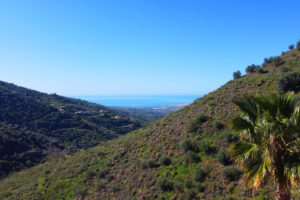 Detached Villa Arenas