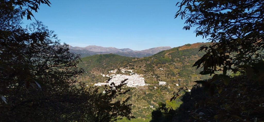 Finca – Cortijo Jubrique