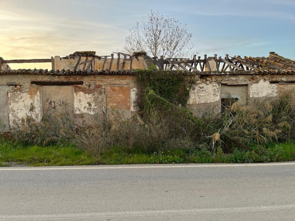 Residential Plot Campanillas