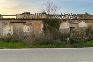 Residential Plot Campanillas