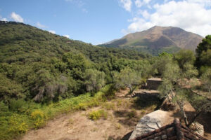 Finca – Cortijo Casares
