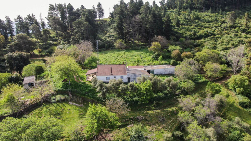 Finca – Cortijo GaucÃn