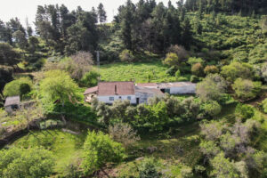 Finca – Cortijo Gaucín