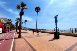 Commercial Premises Los Boliches