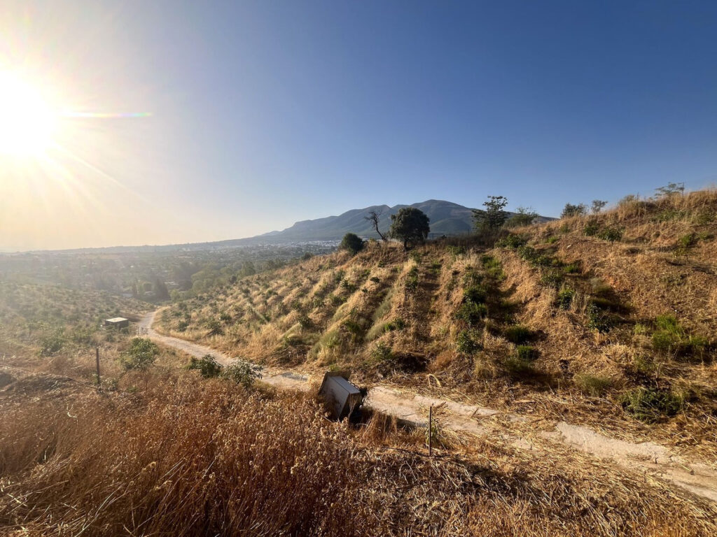 Land Alhaurín el Grande