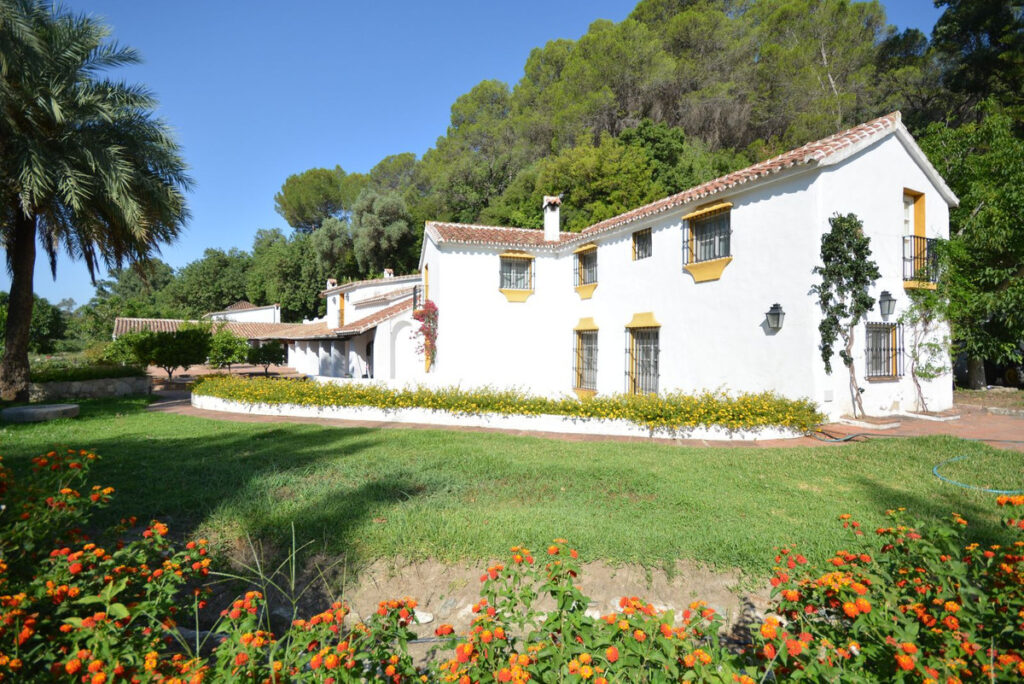 Finca – Cortijo Gaucín