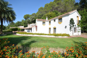 Finca – Cortijo Gaucín
