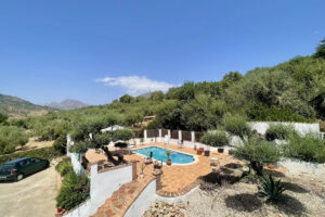 Detached Villa Periana