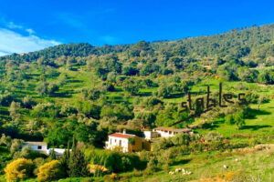 Finca – Cortijo Gaucín