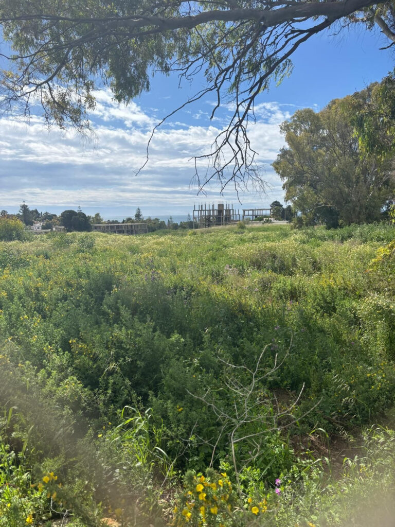 Residential Plot Cancelada