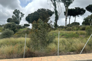 Residential Plot La Cala Golf