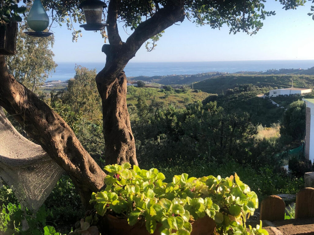 Detached Villa Almayate