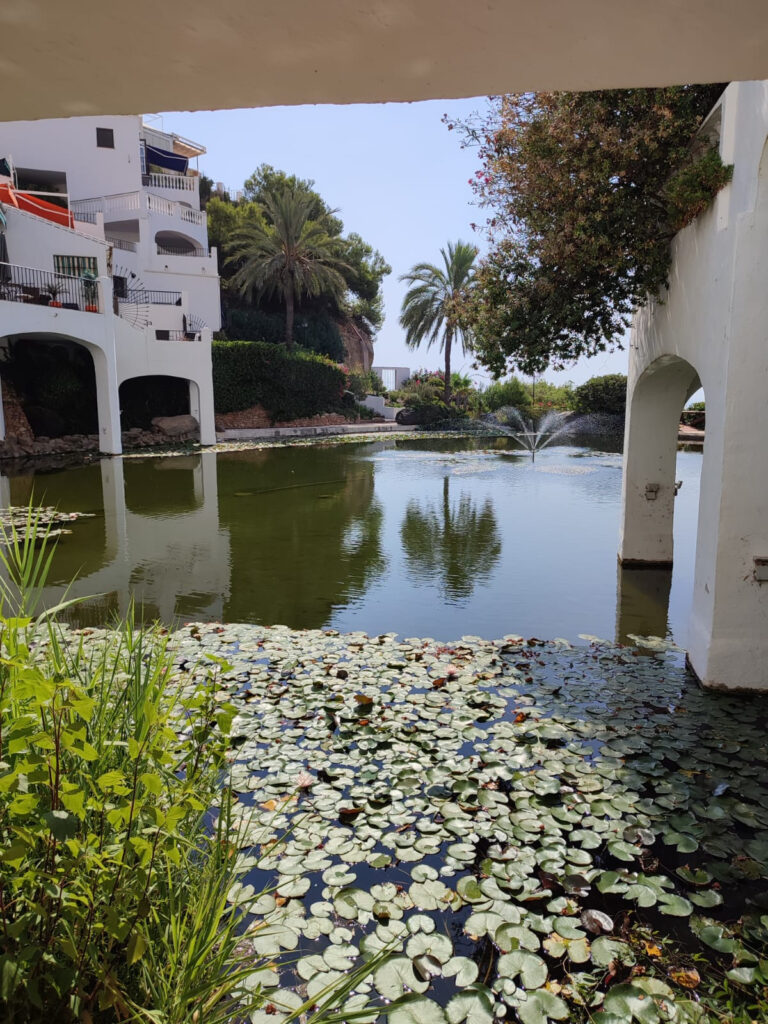 Commercial Premises Nerja