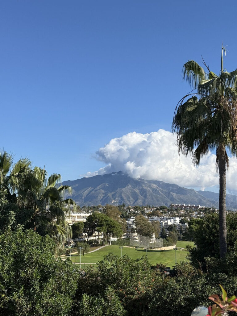 Semi-Detached House Guadalmina Alta