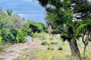 Residential Plot Estepona