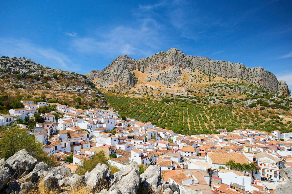 Residential Plot Ronda