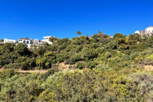 Residential Plot Benahavís