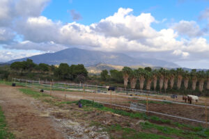 Other Campo Mijas