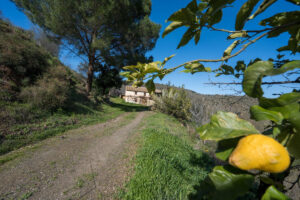 Detached Villa Colmenar