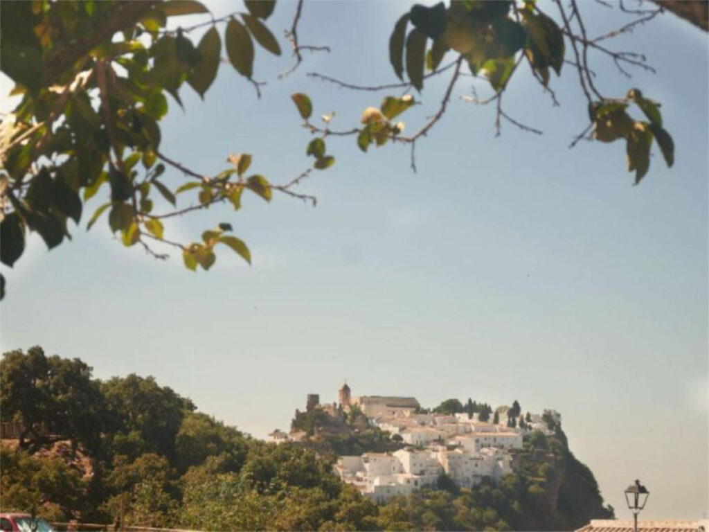 Finca – Cortijo Casares