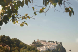 Finca – Cortijo Casares