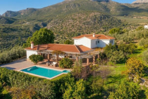 Detached Villa Periana