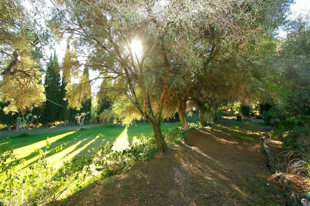 Residential Plot Mijas