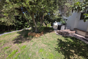 Ground Floor Apartment Nueva Andalucía