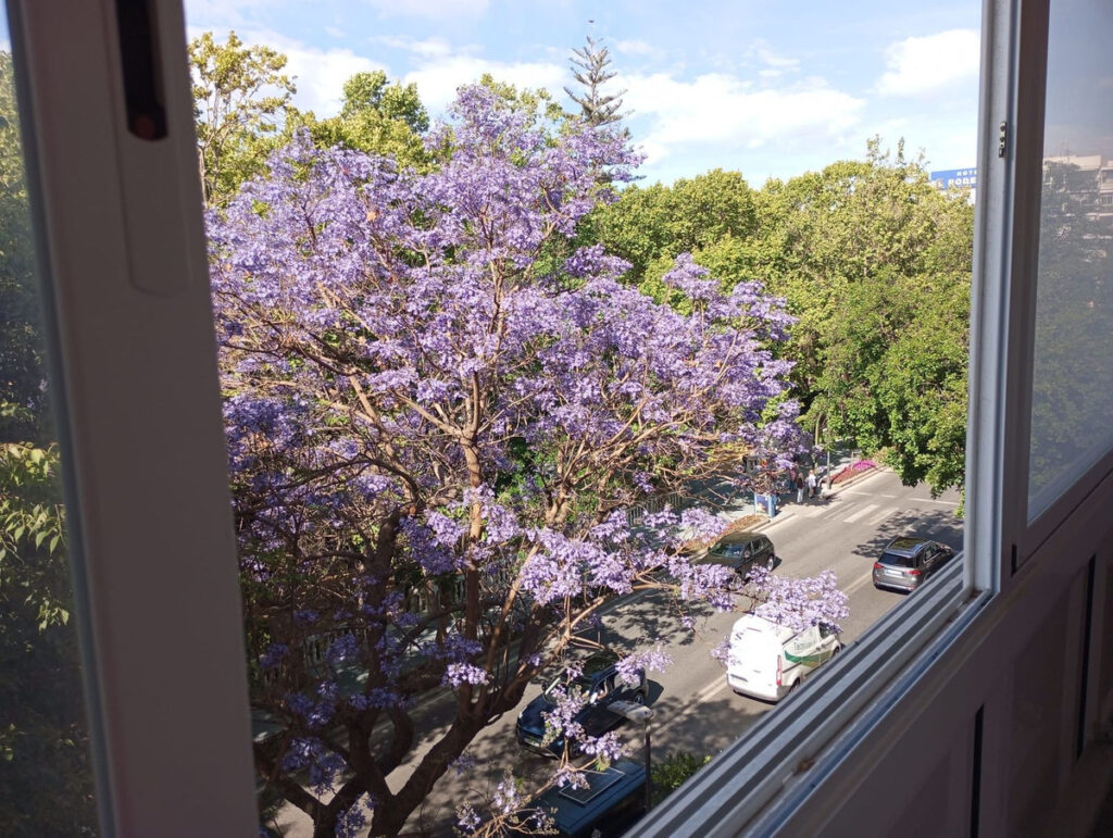 Middle Floor Apartment Marbella