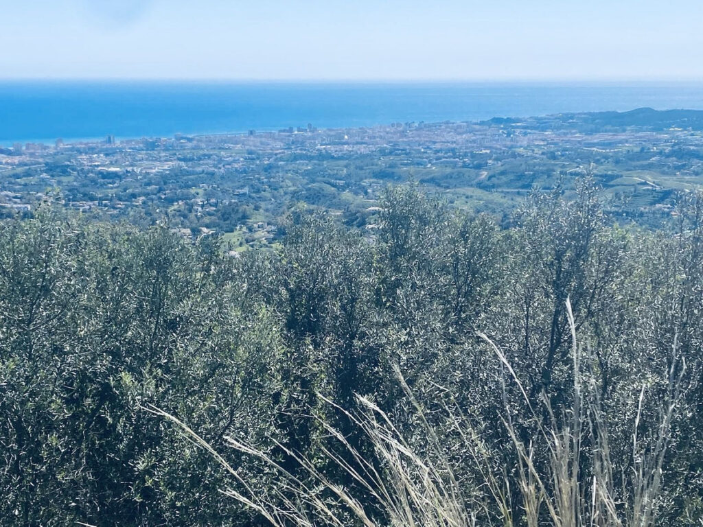 Detached Villa Valtocado