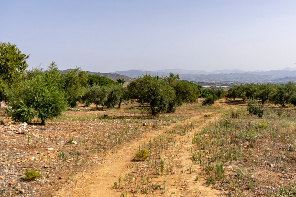 Residential Plot Alhaurín de la Torre