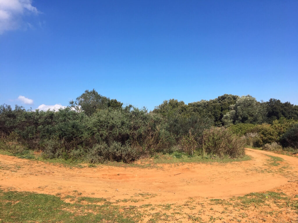 Land Manilva