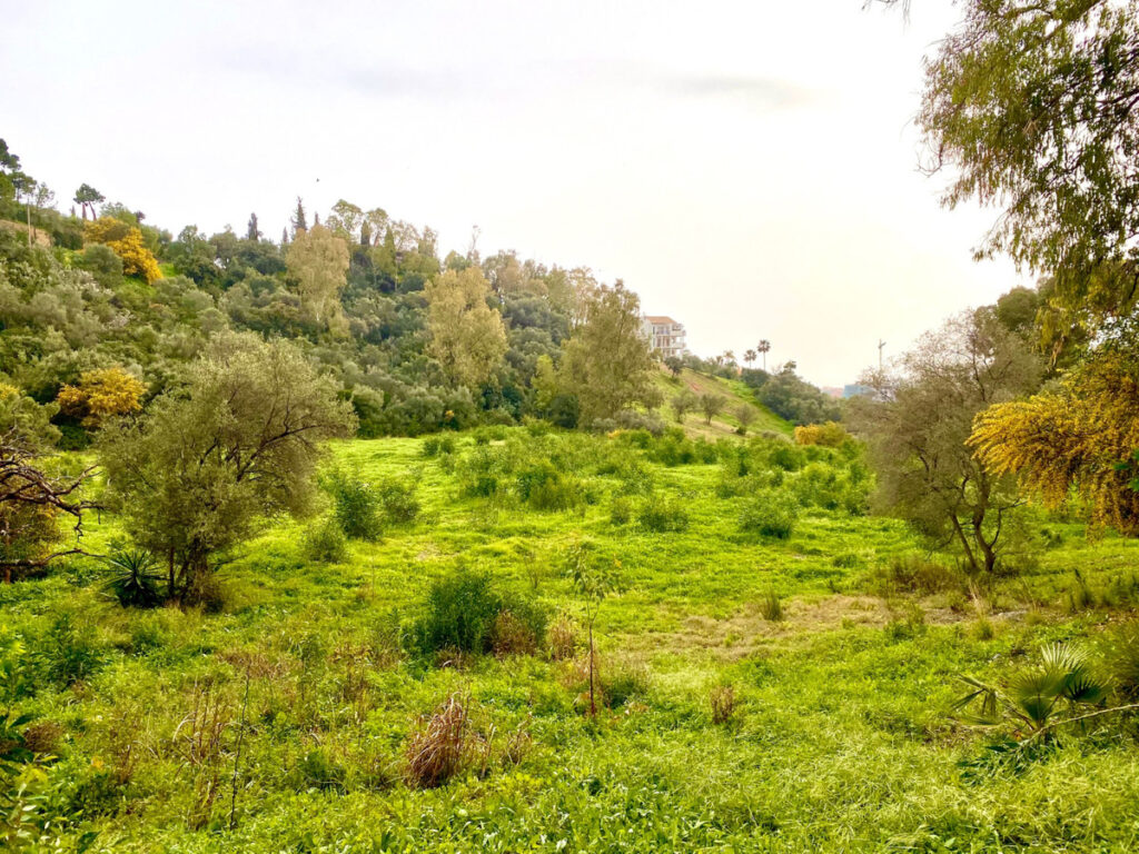 Residential Plot Benahavís